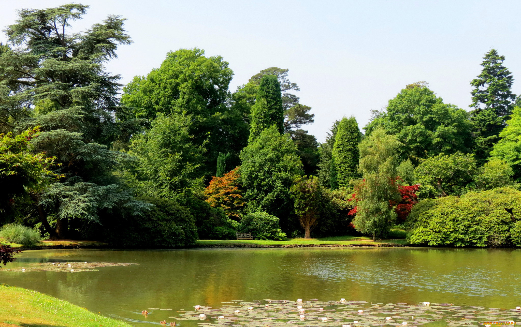 sheffield park garden england, , , england, sheffield, park, garden, , , 